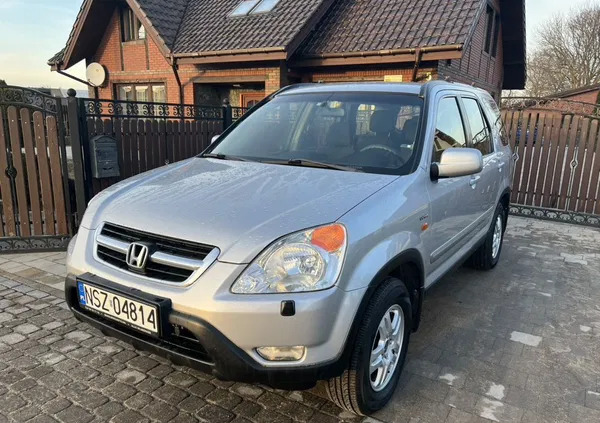 warmińsko-mazurskie Honda CR-V cena 16900 przebieg: 274248, rok produkcji 2002 z Szczytno